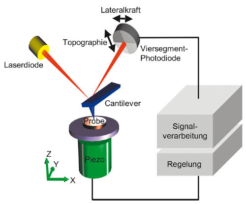 AFM-Schem